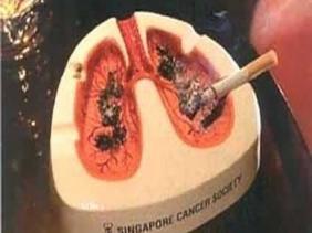 Most cancers du foie traitement pronostic traitement cancer allemagne