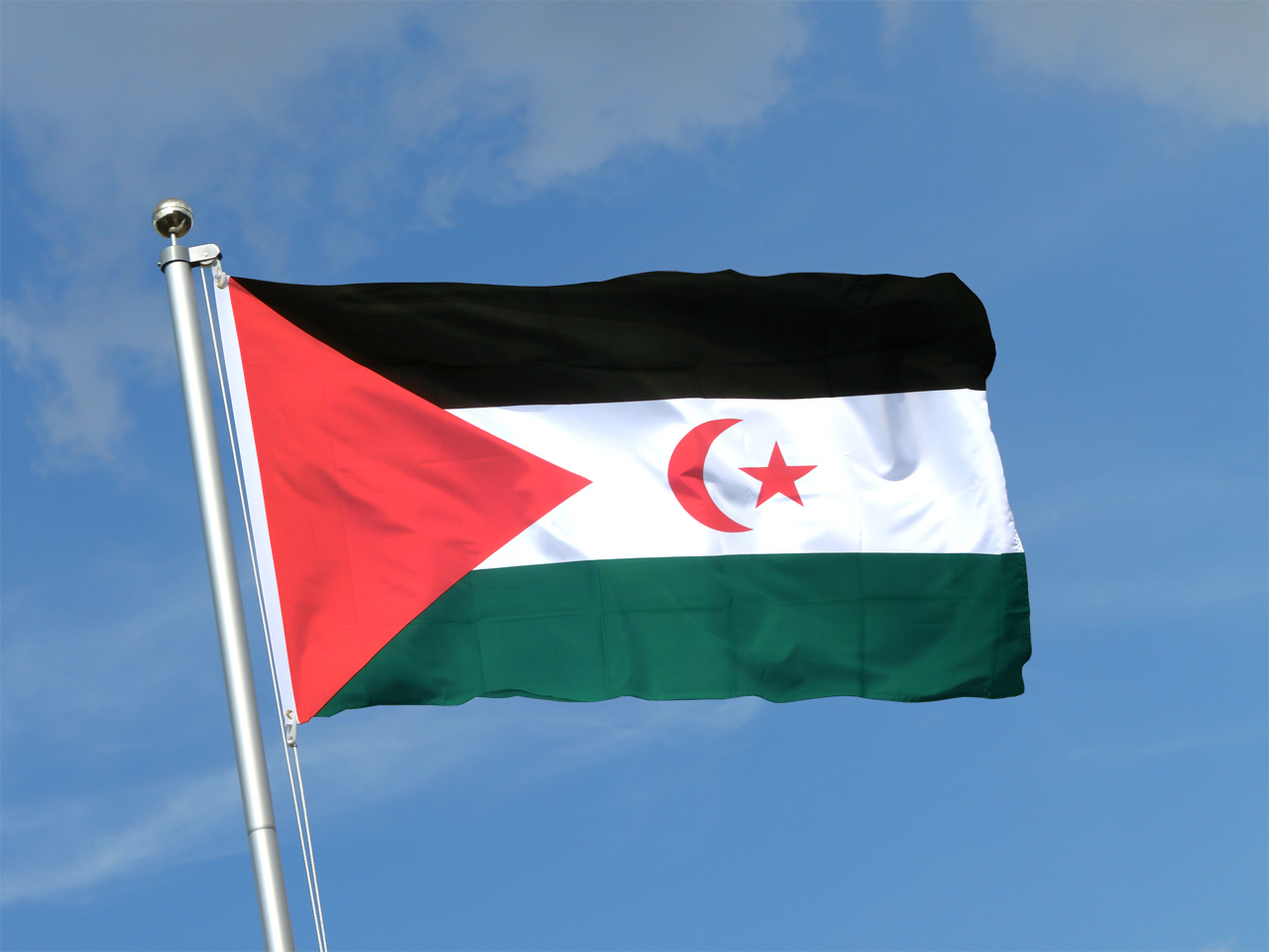 Allemagne : le drapeau de la RASD hissé au Parlement de Brême | Radio  Algérienne