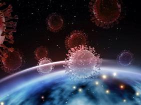 De puissants anticorps contre le coronavirus identifiés par des chercheurs américains CoRonavirus