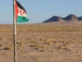ما تقوم به شركة لارسن آند توبرو الهندية في الصحراء الغربية يشجع على نهب ثروات البلاد الإذاعة الجزائرية