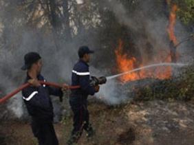 ولاية الجزائر تسجل نشوب 74 حريقا منذ بداية تنفيذ مخطط مكافحة حرائق