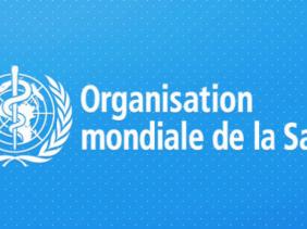 Covid-19: l'OMS met en garde contre les relâchements face à la pandémie Oms_1587638430